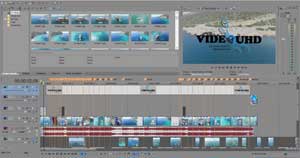 EDITAREA ȘI PROCESAREA LUCRĂRII